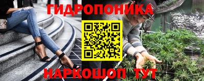 шишки Краснознаменск