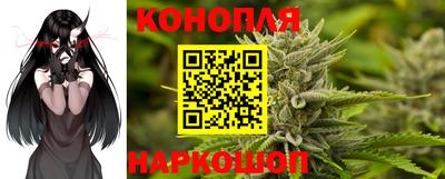 шишки Краснознаменск